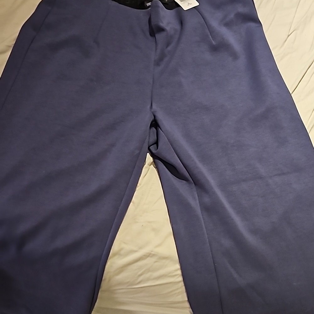 Men's Blue Pants